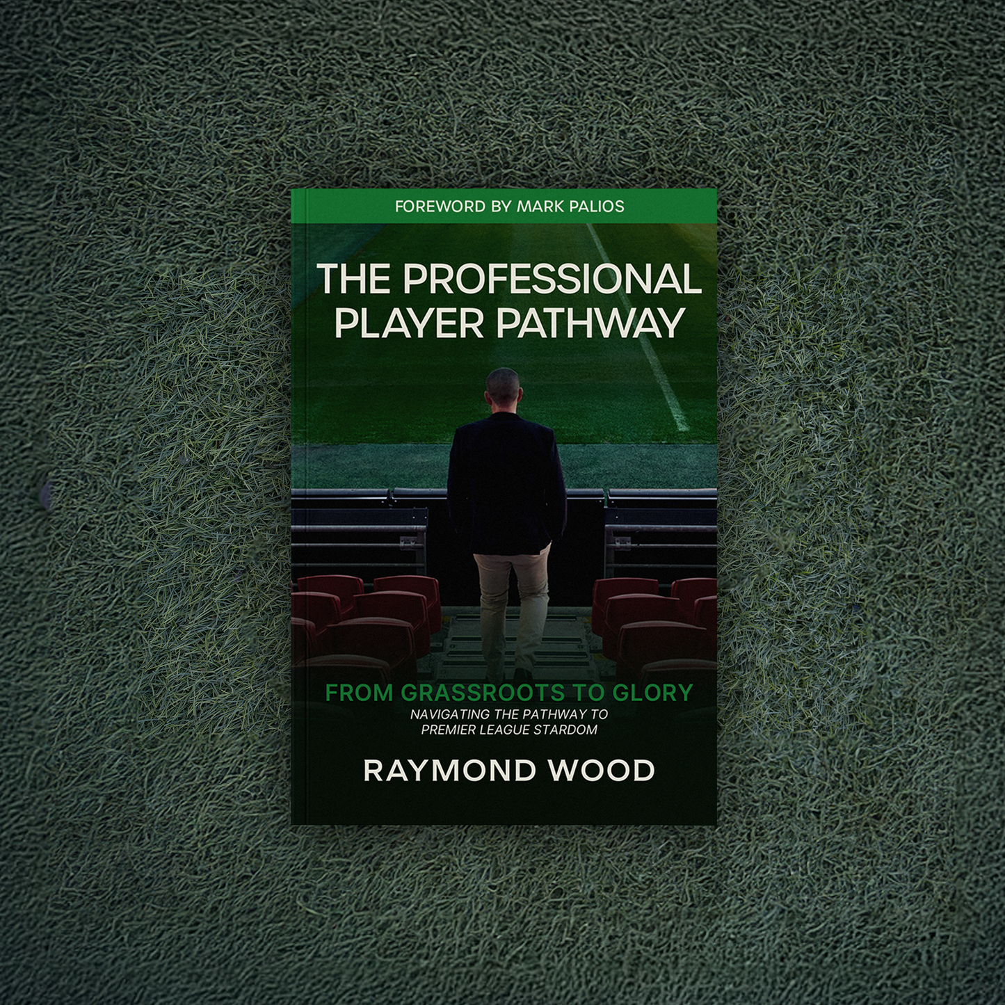 The Professional Player Pathway - eBook