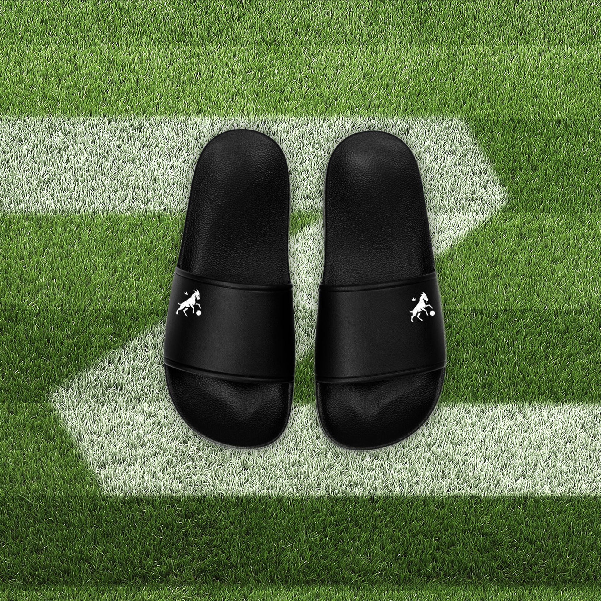 GOATZ Slides
