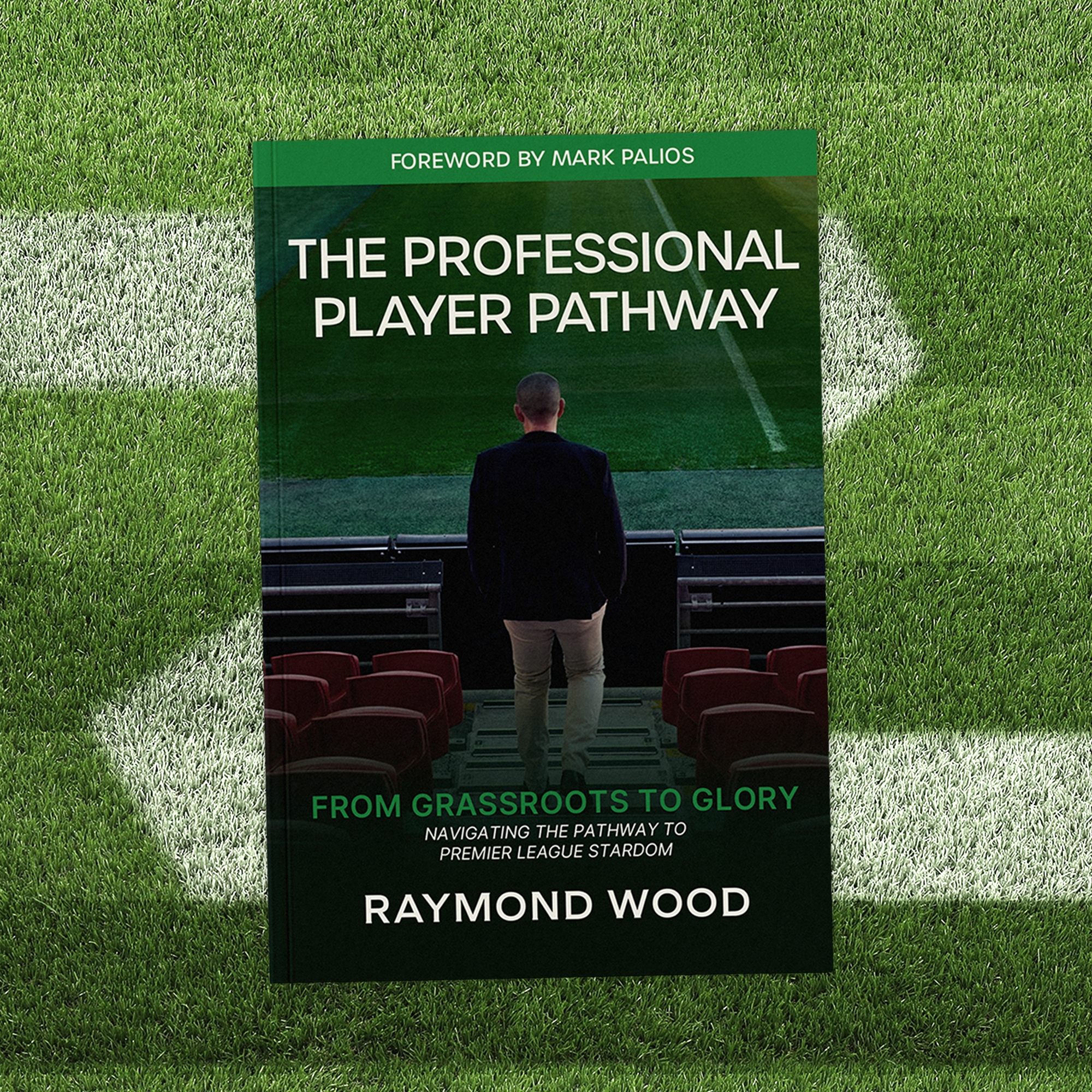 The Professional Player Pathway - eBook