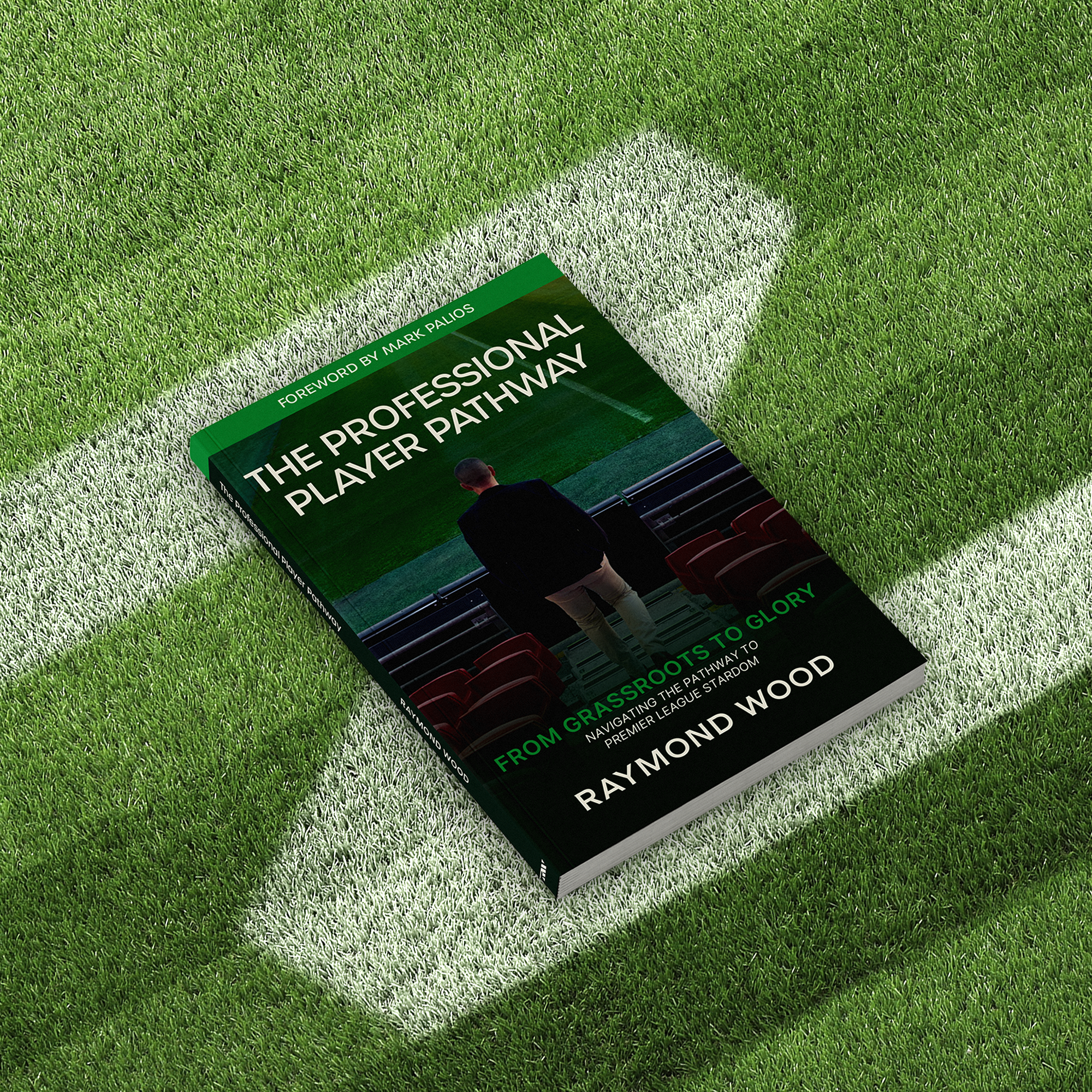 The Professional Player Pathway - eBook